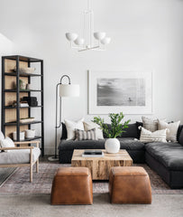 Amber Lewis x Loloi Billie Ink/Salmon Rug