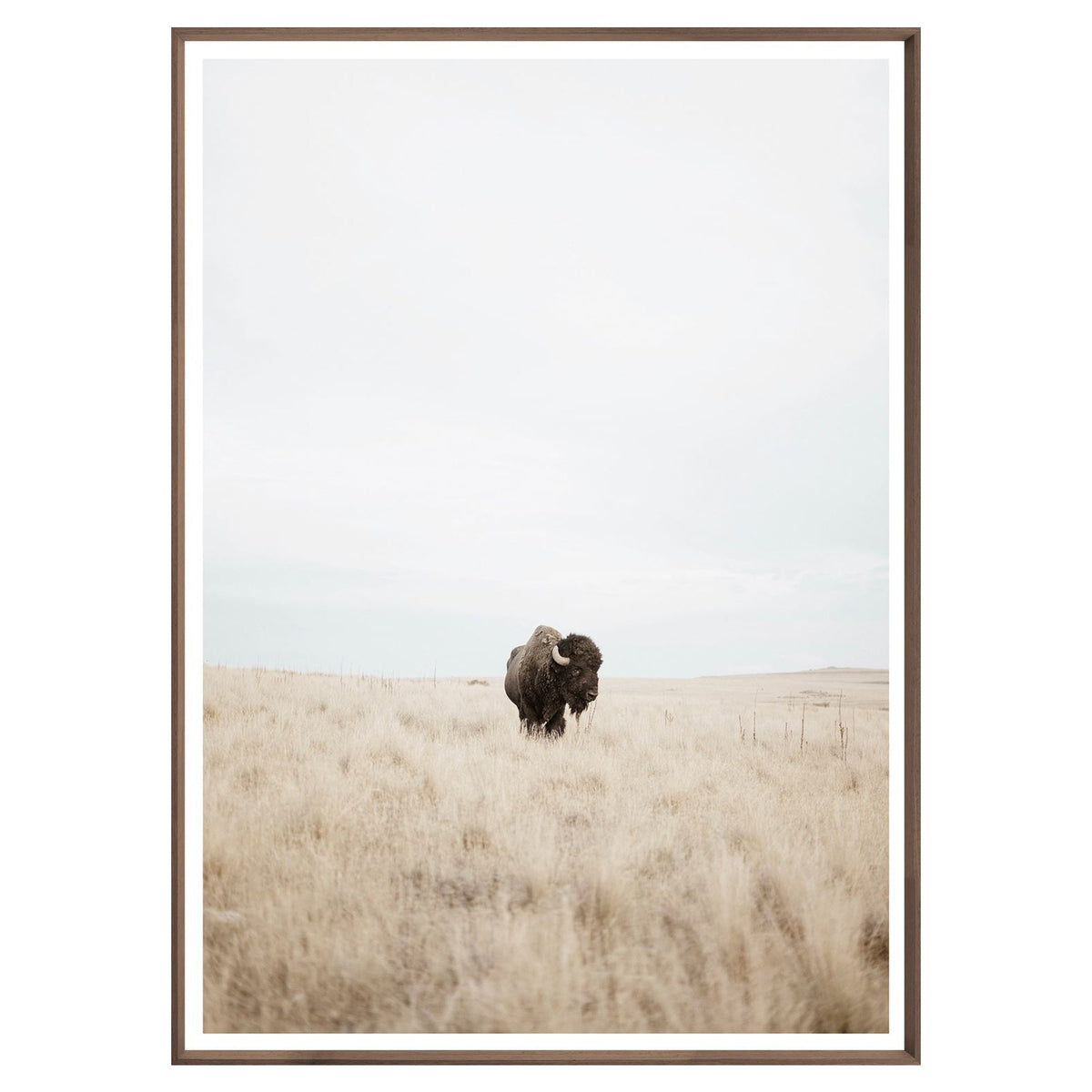 Great Plains Framed Print