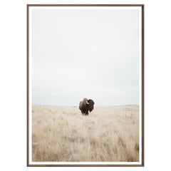 Great Plains Framed Print